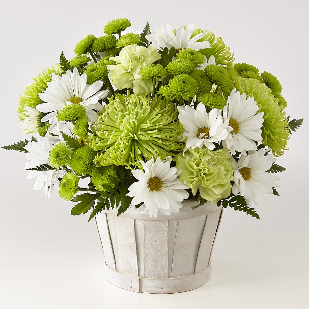 Lucky Charm Basket (Standard) – ANDREA'S FLOWERS ORLANDO, Orlando FL
