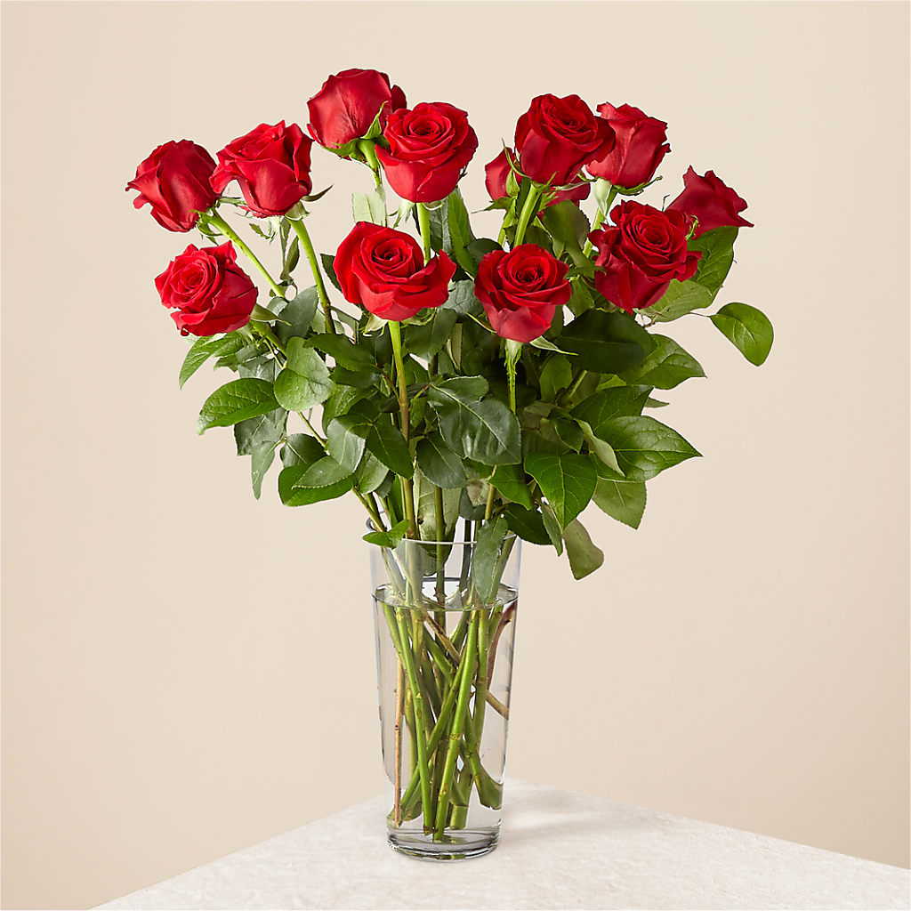 Long Stem Red Rose Bouquet – ANDREA'S FLOWERS ORLANDO, Orlando FL