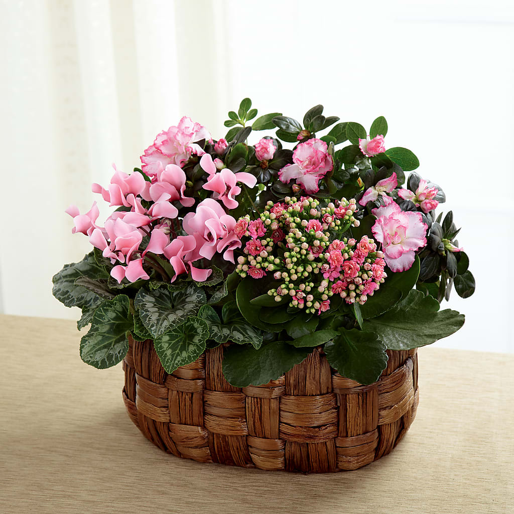 Pink Assortment – ANDREA'S FLOWERS ORLANDO, Orlando FL