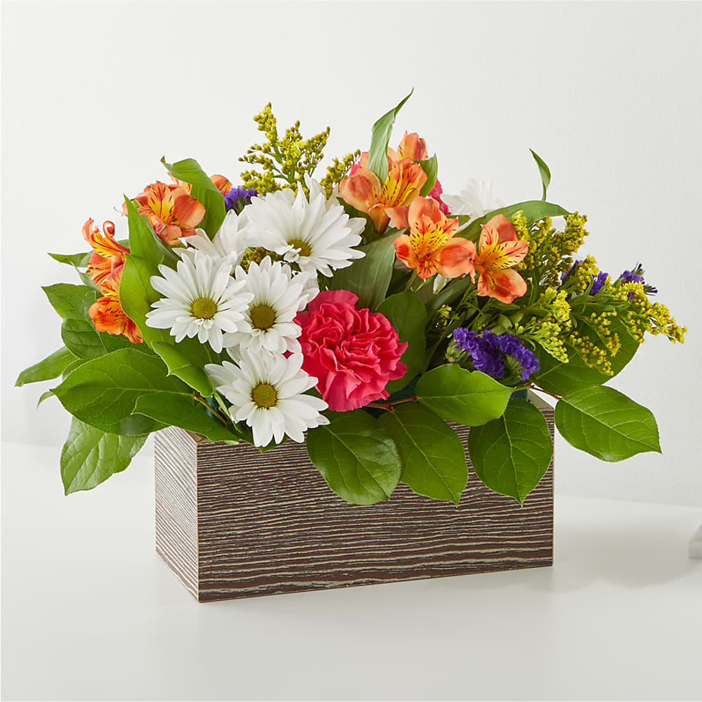 Oopsie Daisy Box Bouquet – ANDREA'S FLOWERS ORLANDO, Orlando FL