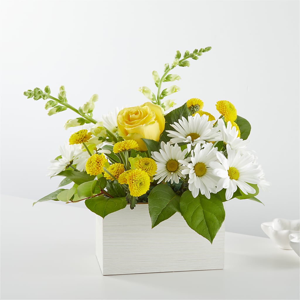 Sun Salutation Box Bouquet – ANDREA'S FLOWERS ORLANDO, Orlando FL