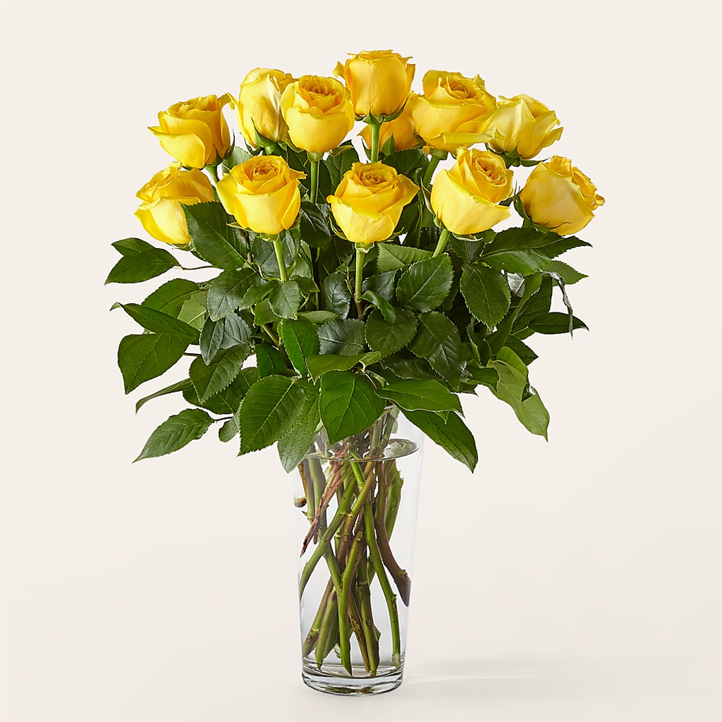 Long Stem Yellow Rose Bouquet – ANDREA'S FLOWERS ORLANDO, Orlando FL
