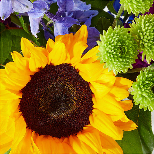 Catching Rays Bouquet – ANDREA'S FLOWERS ORLANDO, Orlando FL