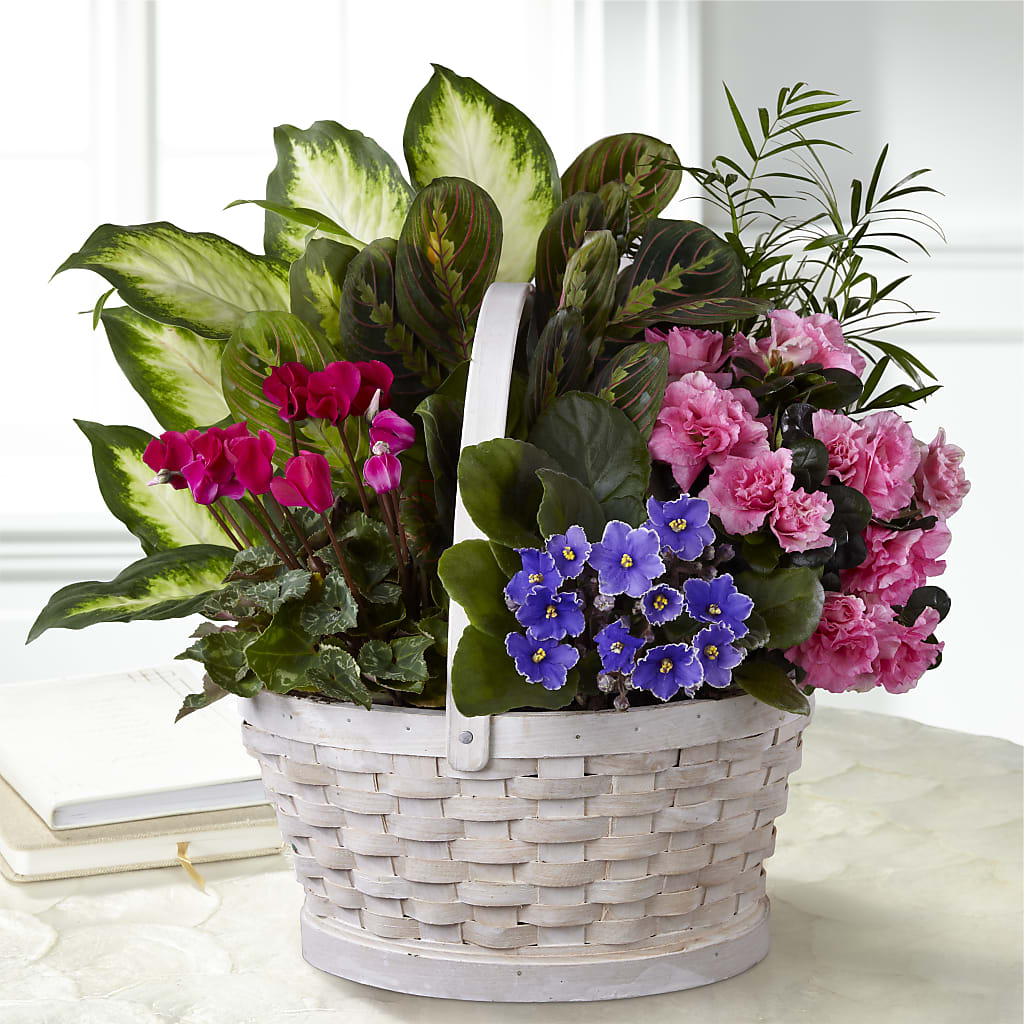 Peaceful Garden Planter – ANDREA'S FLOWERS ORLANDO, Orlando FL