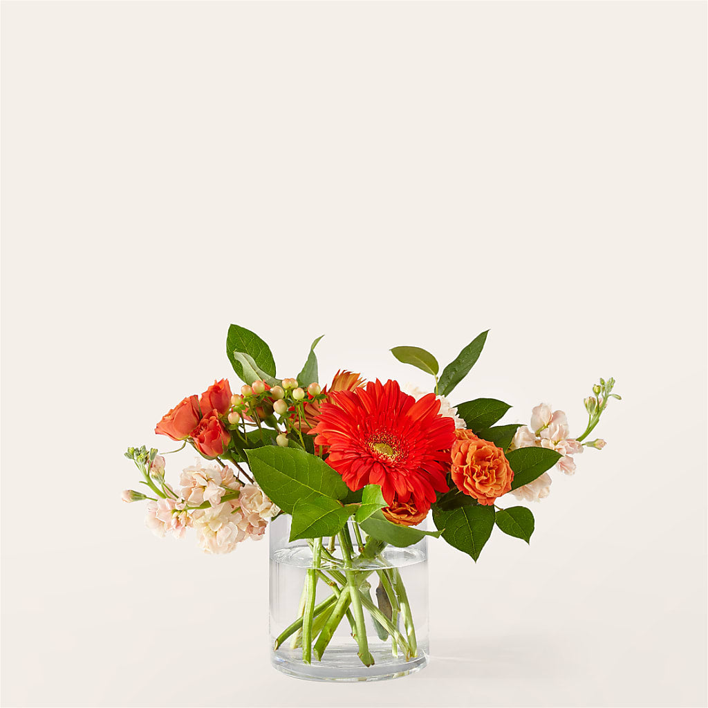Paloma Please Bouquet – ANDREA'S FLOWERS ORLANDO, Orlando FL