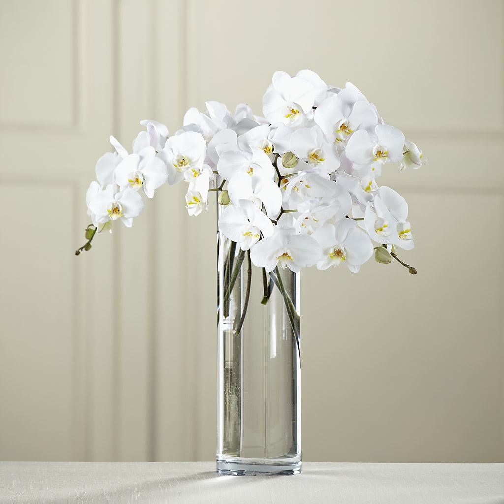 White Phalaenopsis Bouquet – ANDREA'S FLOWERS ORLANDO, Orlando FL