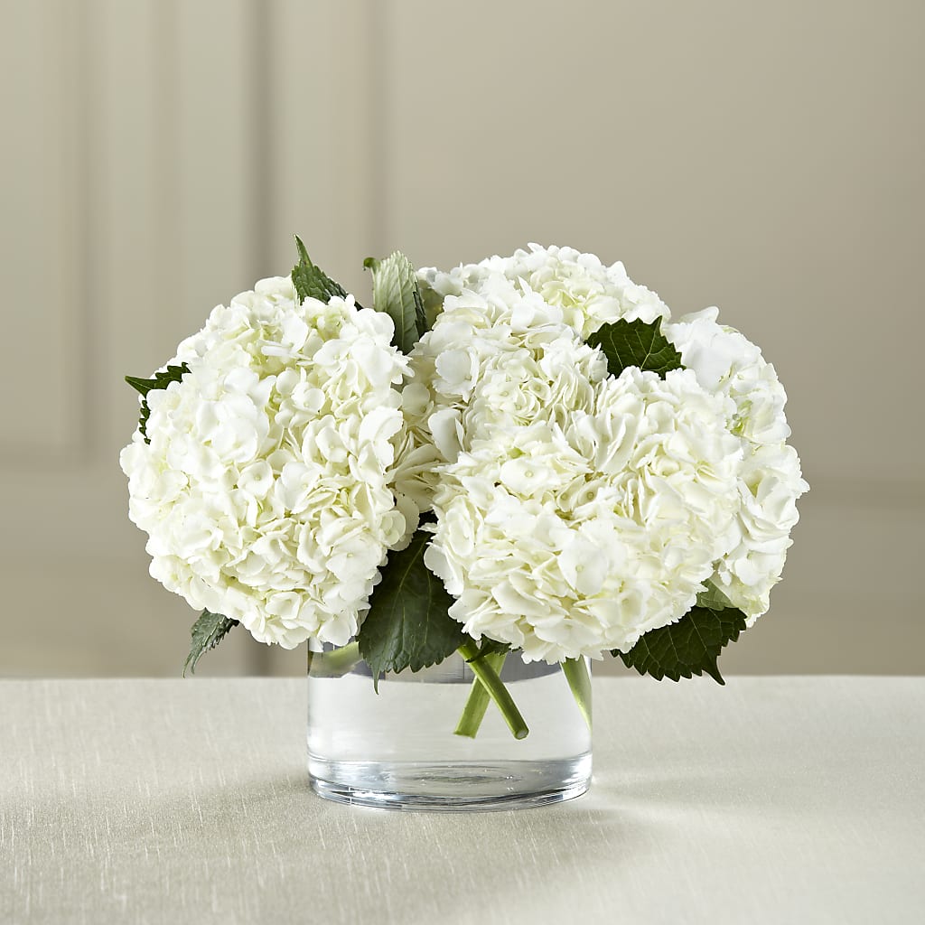 White Hydrangea Bouquet – ANDREA'S FLOWERS ORLANDO, Orlando FL