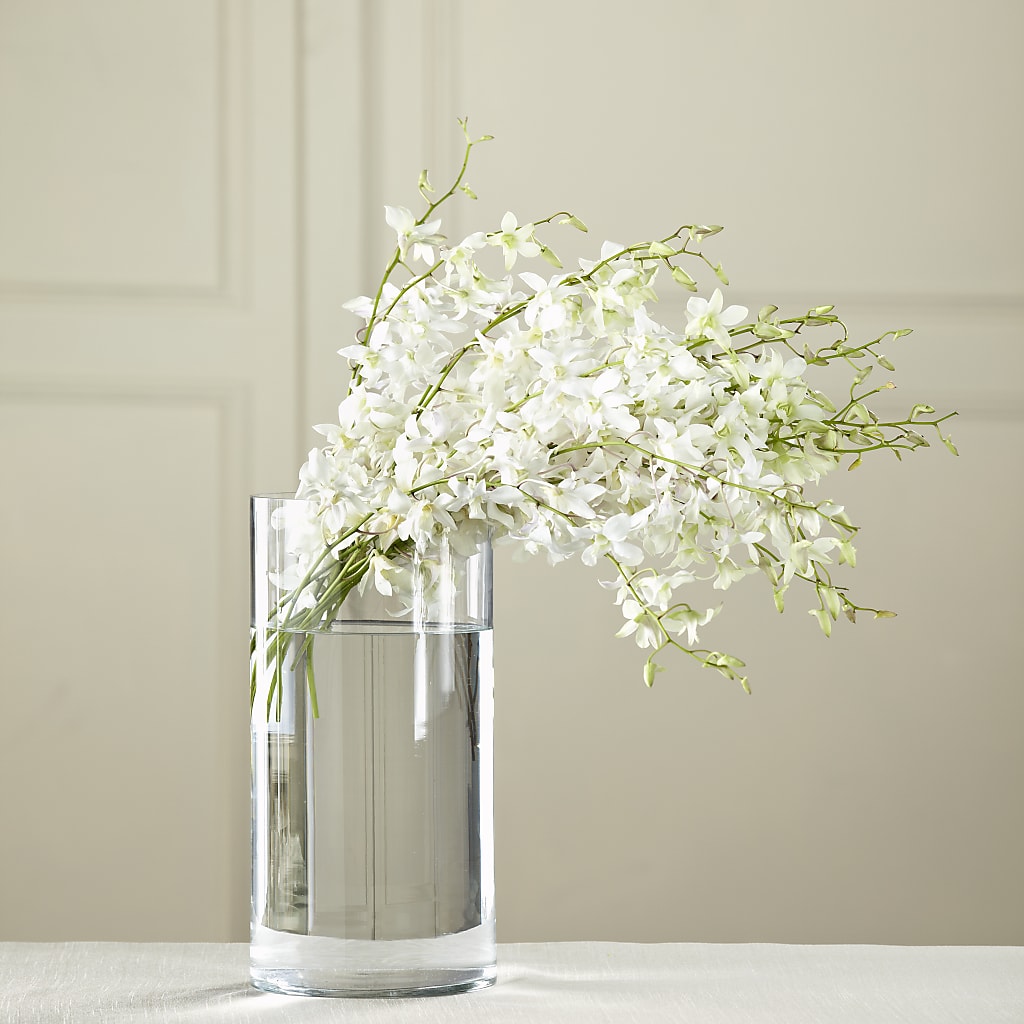 White Dendrobium Bouquet – ANDREA'S FLOWERS ORLANDO, Orlando FL