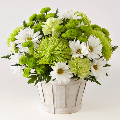 Lucky Charm Basket (Standard) – ANDREA'S FLOWERS ORLANDO, Orlando FL