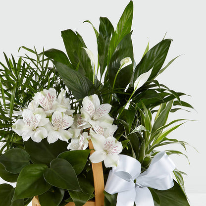 Peace & Serenity Dishgarden – ANDREA'S FLOWERS ORLANDO, Orlando FL