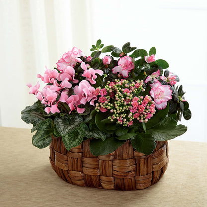 Pink Assortment – ANDREA'S FLOWERS ORLANDO, Orlando FL