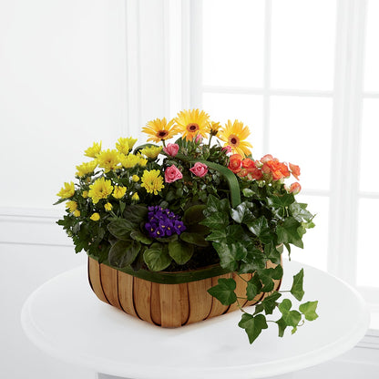 Gentle Blossoms Basket – ANDREA'S FLOWERS ORLANDO, Orlando FL