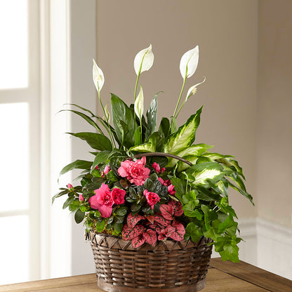 Dream in Pink Dishgarden – ANDREA'S FLOWERS ORLANDO, Orlando FL