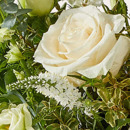Cashmere Bouquet – ANDREA'S FLOWERS ORLANDO, Orlando FL
