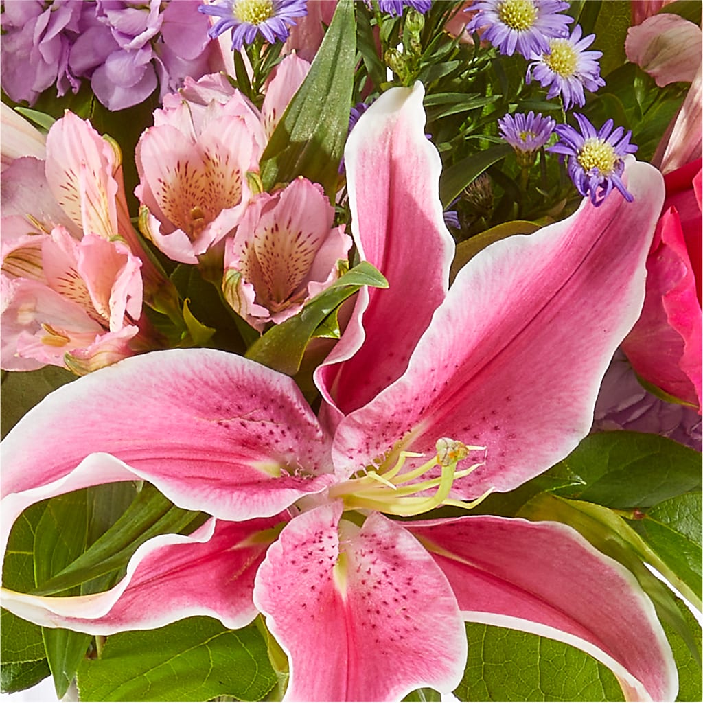 Written in the Stars Bouquet – ANDREA'S FLOWERS ORLANDO, Orlando FL