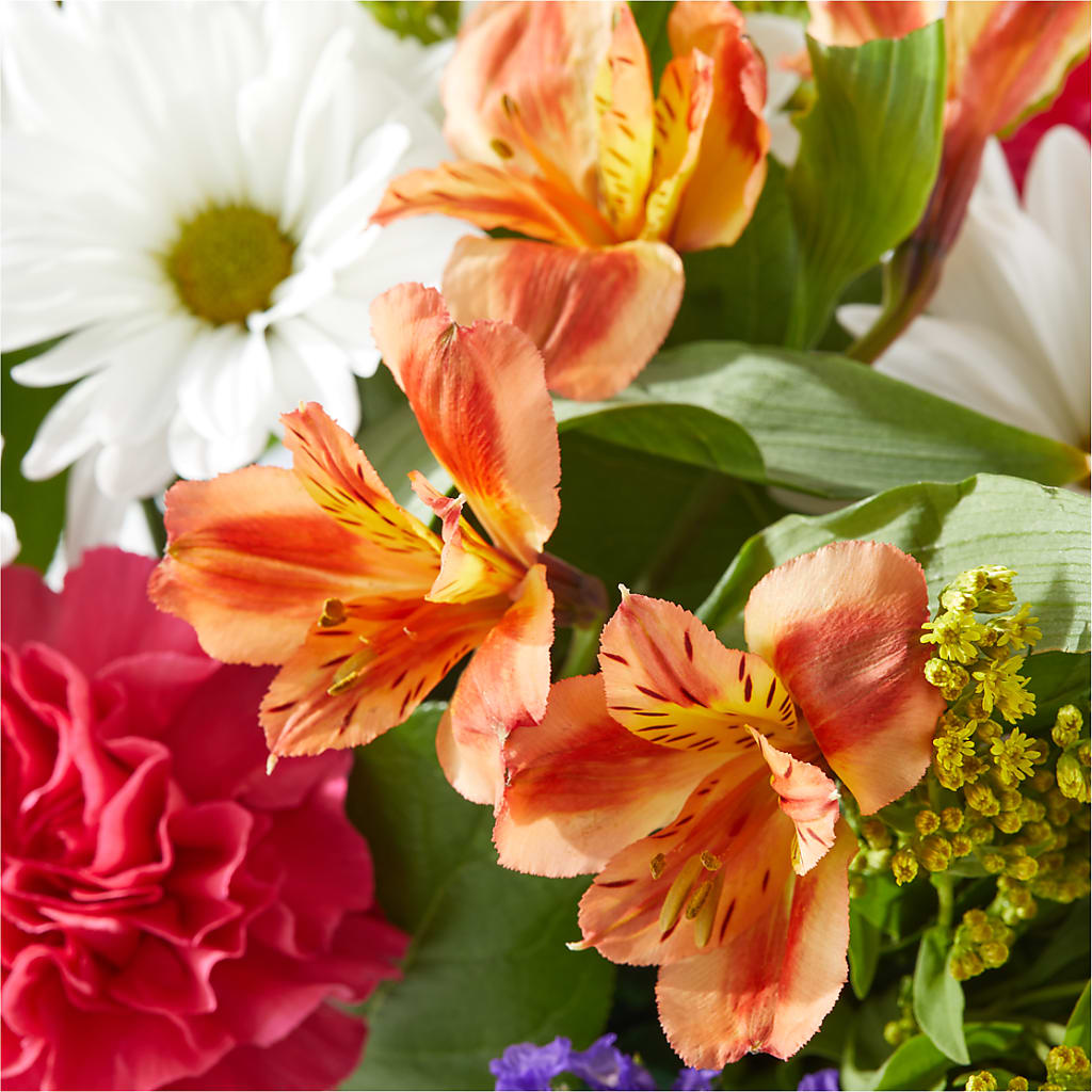 Oopsie Daisy Box Bouquet – ANDREA'S FLOWERS ORLANDO, Orlando FL