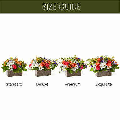 Oopsie Daisy Box Bouquet – ANDREA'S FLOWERS ORLANDO, Orlando FL
