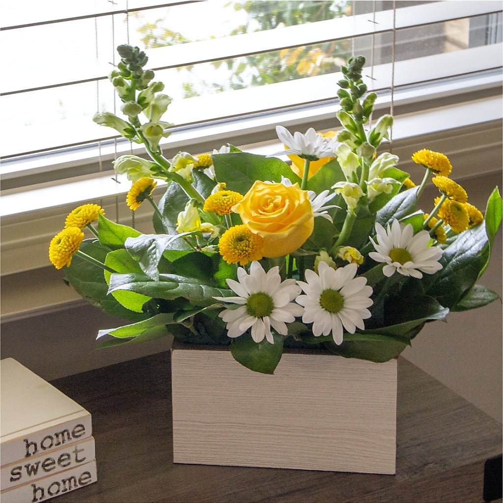 Sun Salutation Box Bouquet – ANDREA'S FLOWERS ORLANDO, Orlando FL
