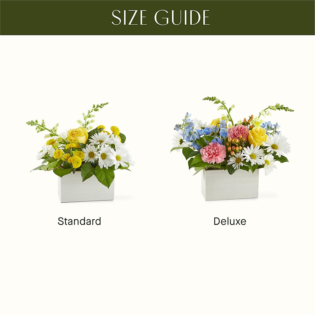 Sun Salutation Box Bouquet – ANDREA'S FLOWERS ORLANDO, Orlando FL