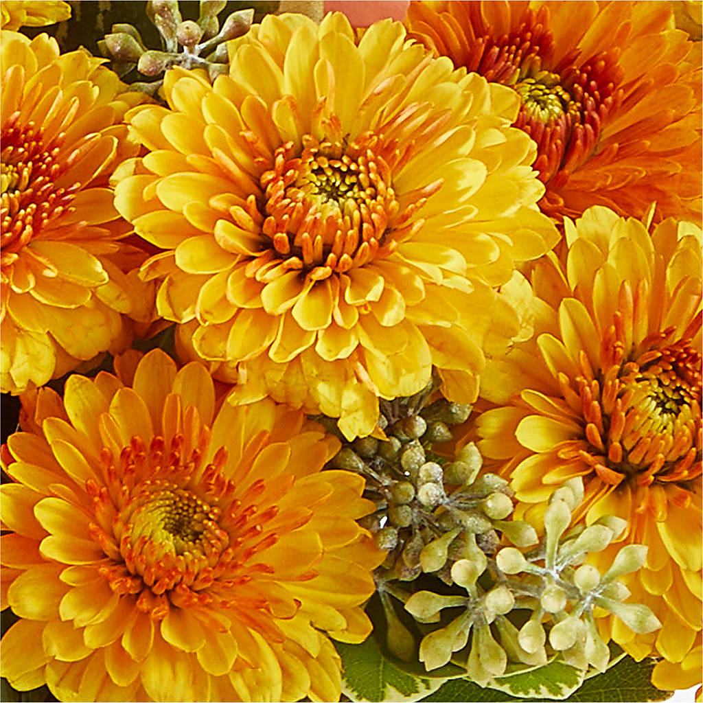 Peachy Pumpkin – ANDREA'S FLOWERS ORLANDO, Orlando FL