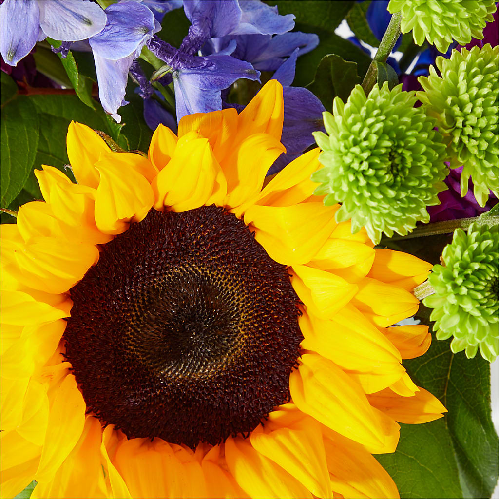 Catching Rays Bouquet – ANDREA'S FLOWERS ORLANDO, Orlando FL