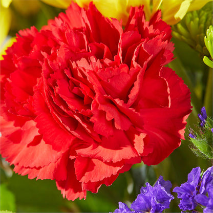 Brighter Days Bouquet – ANDREA'S FLOWERS ORLANDO, Orlando FL