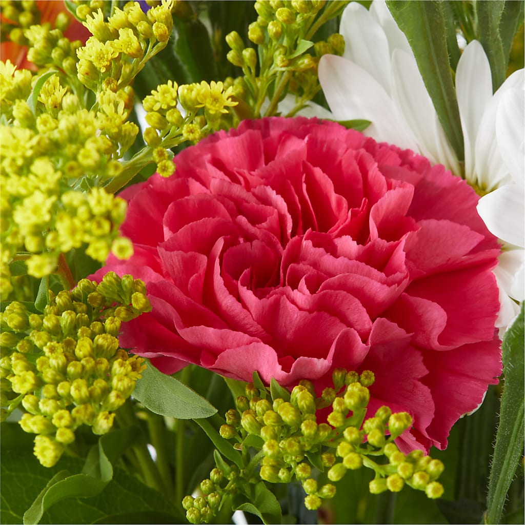 Oopsie Daisy Bouquet – ANDREA'S FLOWERS ORLANDO, Orlando FL