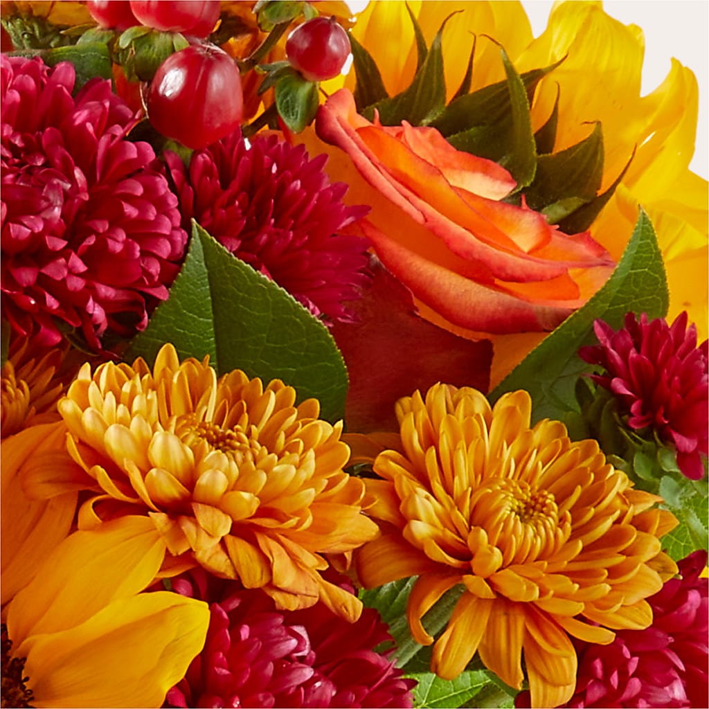 Sweater Season - A Florist Original – ANDREA'S FLOWERS ORLANDO, Orlando FL
