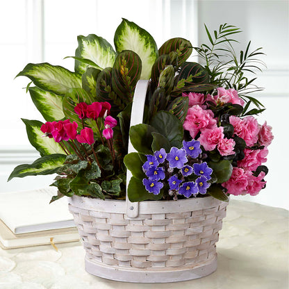 Peaceful Garden Planter – ANDREA'S FLOWERS ORLANDO, Orlando FL