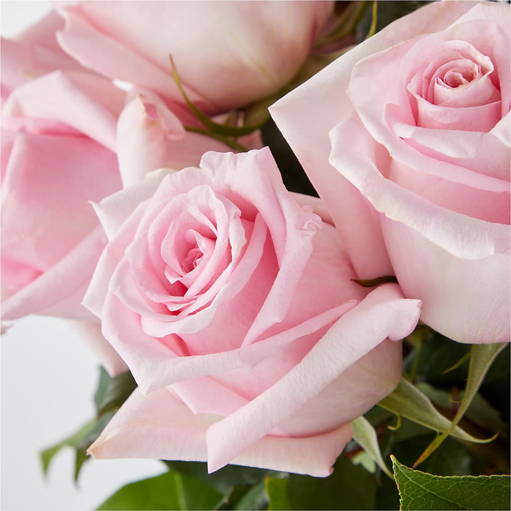Picture Perfect Pink Rose Bouquet – ANDREA'S FLOWERS ORLANDO, Orlando FL