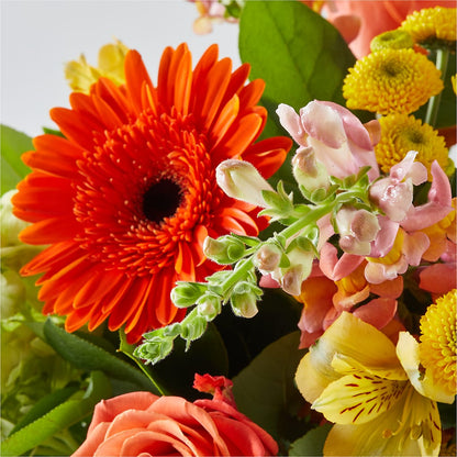 Autumn Sunshine Bouquet – ANDREA'S FLOWERS ORLANDO, Orlando FL