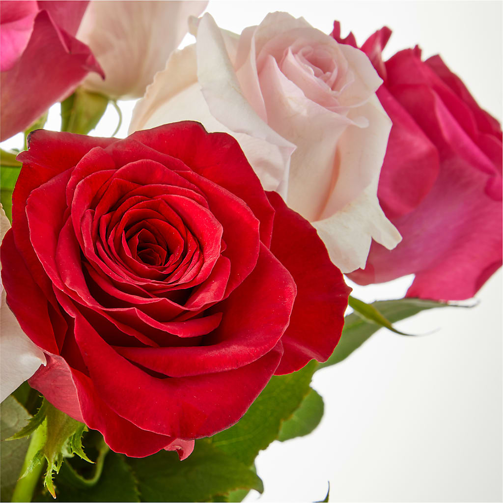 Charming Rose Bouquet – ANDREA'S FLOWERS ORLANDO, Orlando FL
