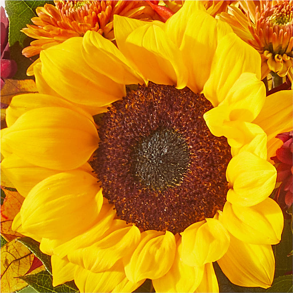 Sunny Side Bouquet – ANDREA'S FLOWERS ORLANDO, Orlando FL