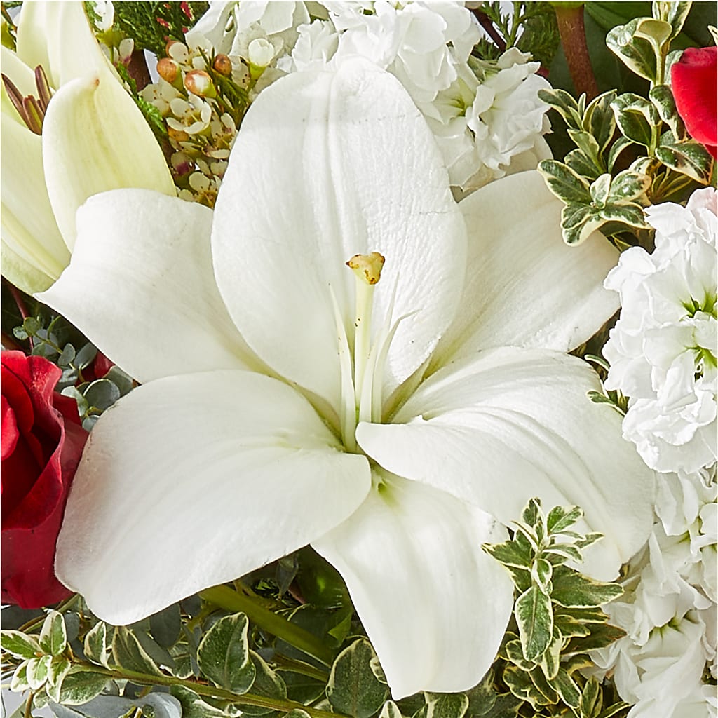 Twinkle Lights Bouquet – ANDREA'S FLOWERS ORLANDO, Orlando FL
