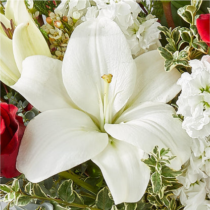 Twinkle Lights Bouquet – ANDREA'S FLOWERS ORLANDO, Orlando FL