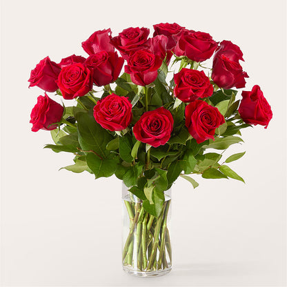 The One Red Rose Bouquet – ANDREA'S FLOWERS ORLANDO, Orlando FL