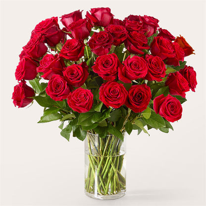 The One Red Rose Bouquet – ANDREA'S FLOWERS ORLANDO, Orlando FL