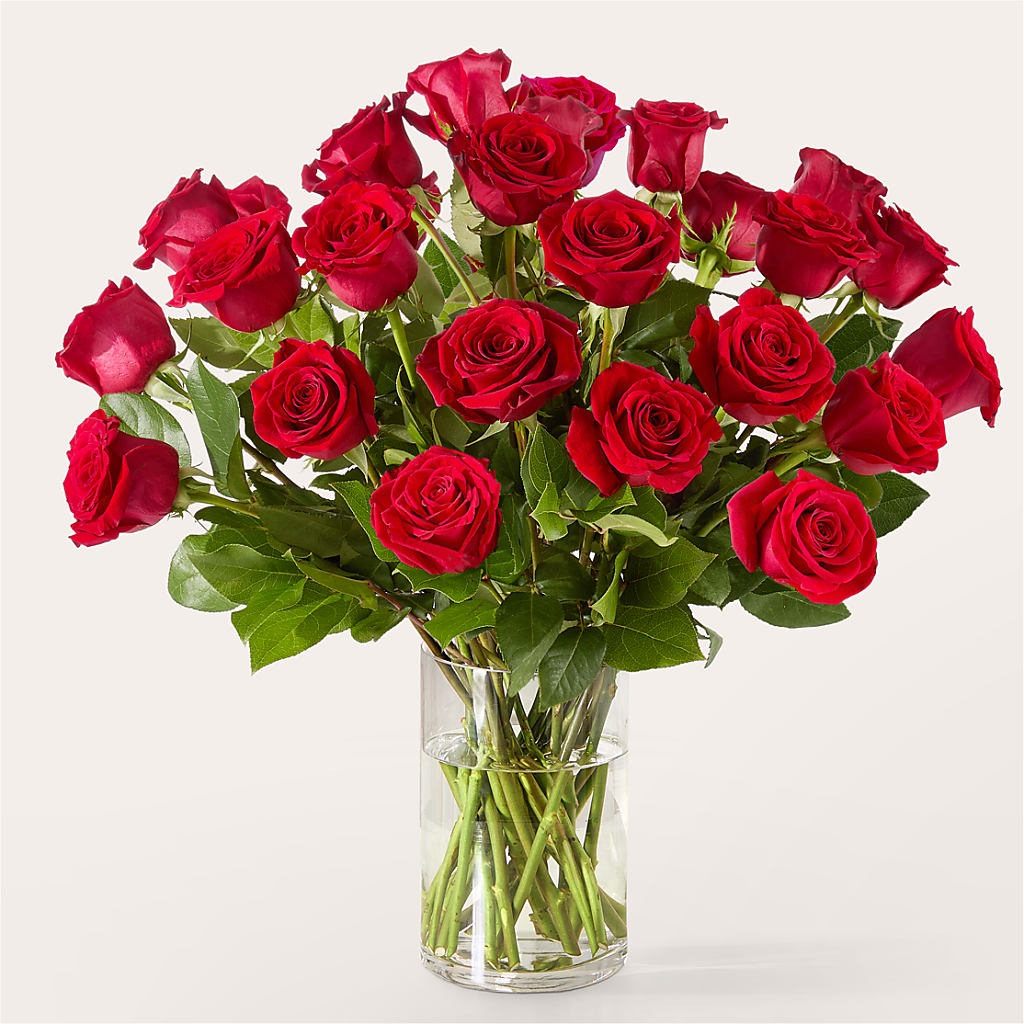 The One Red Rose Bouquet – ANDREA'S FLOWERS ORLANDO, Orlando FL