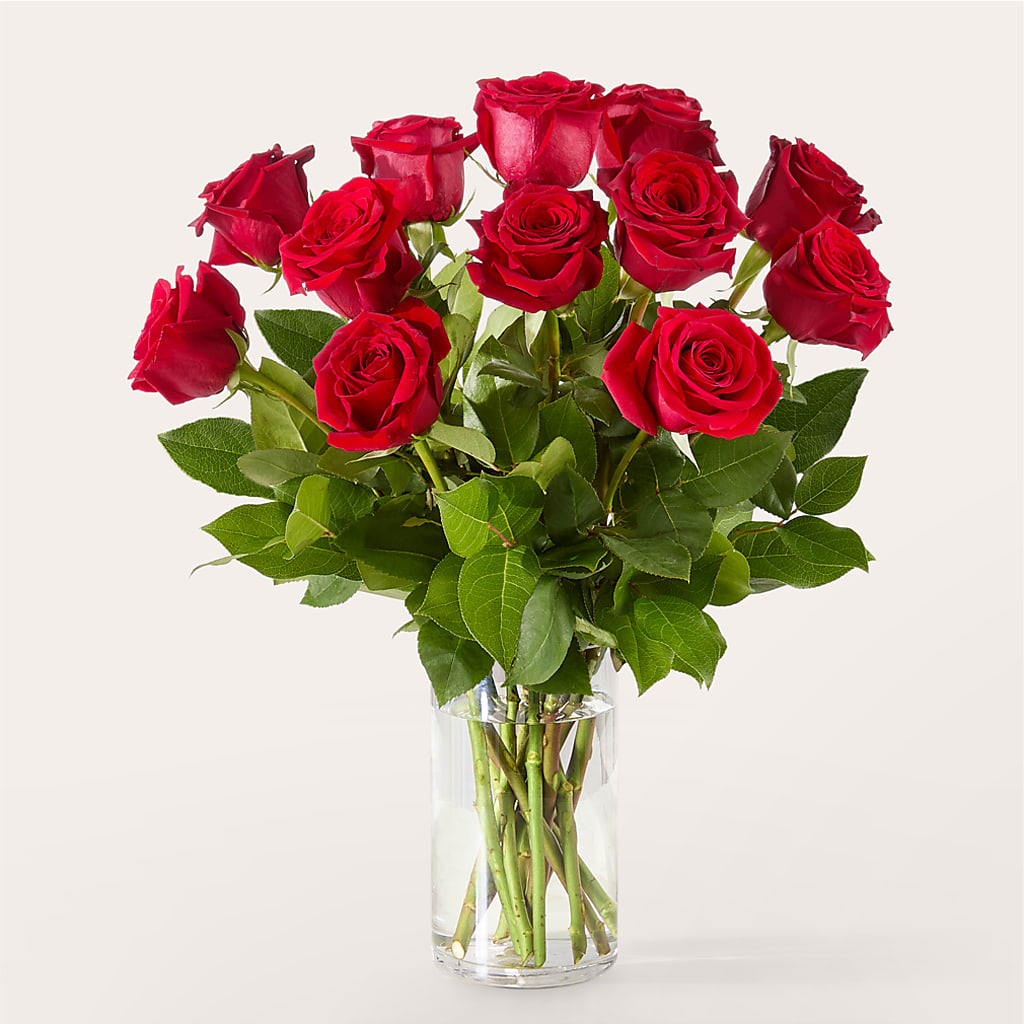 The One Red Rose Bouquet – ANDREA'S FLOWERS ORLANDO, Orlando FL
