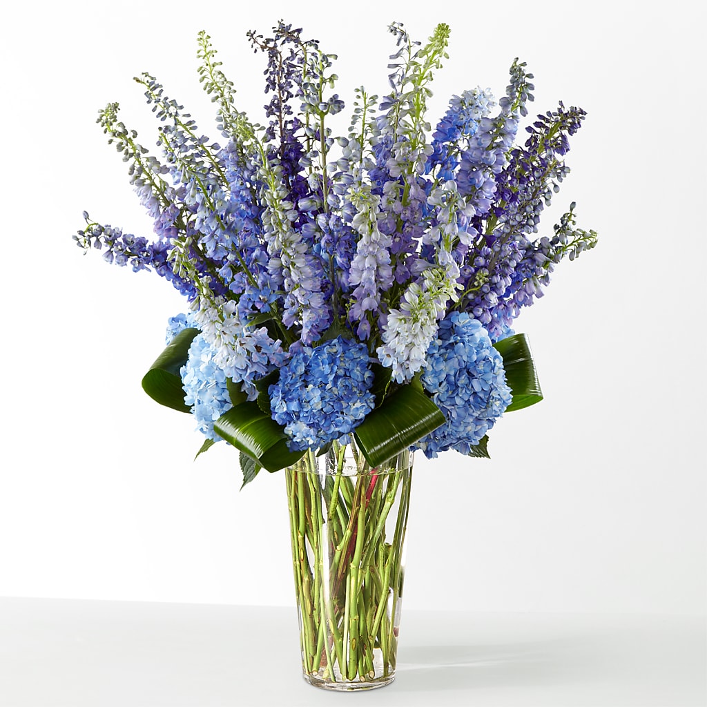 The Editorial – ANDREA'S FLOWERS ORLANDO, Orlando FL