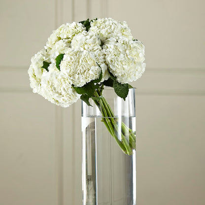 White Hydrangea Hand-Tied Bouquet – ANDREA'S FLOWERS ORLANDO, Orlando FL