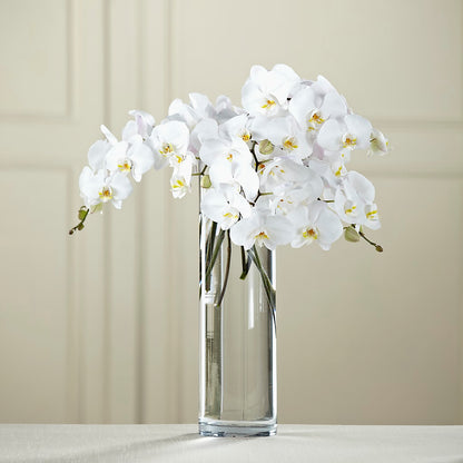 White Phalaenopsis Bouquet – ANDREA'S FLOWERS ORLANDO, Orlando FL