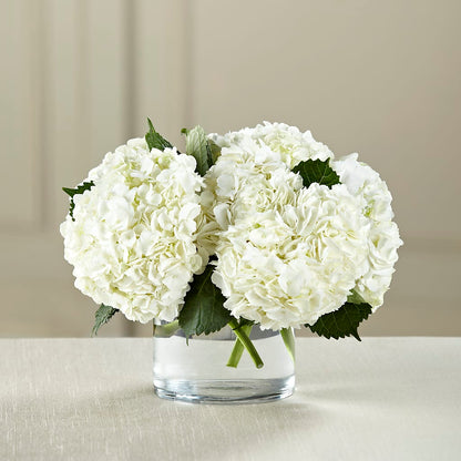 White Hydrangea Bouquet – ANDREA'S FLOWERS ORLANDO, Orlando FL